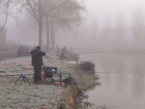 afbeelding 6