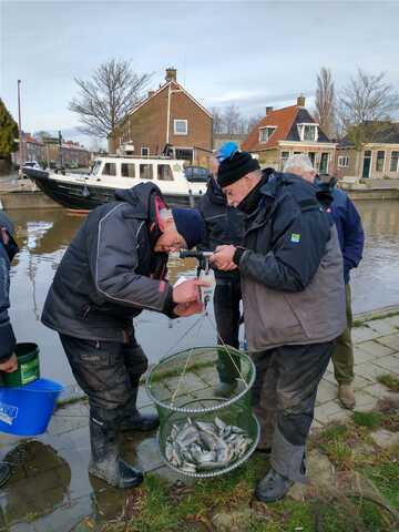 afbeelding 12