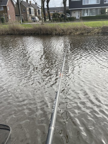 afbeelding 11