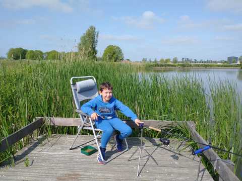 afbeelding 1