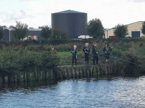 afbeelding 13