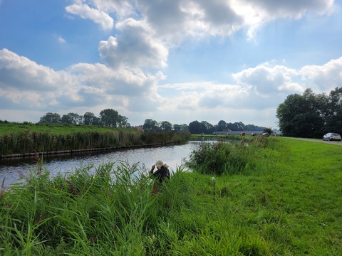 afbeelding 8