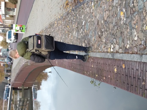 afbeelding 3