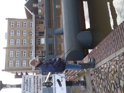 afbeelding 12