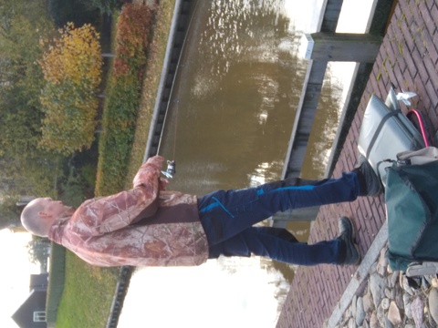afbeelding 13