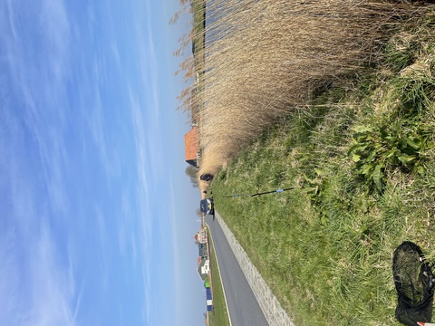afbeelding 5