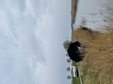 afbeelding 4