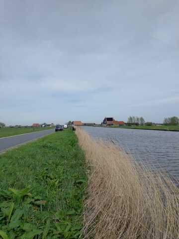afbeelding 6