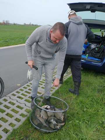 afbeelding 20