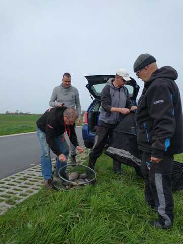 afbeelding 18