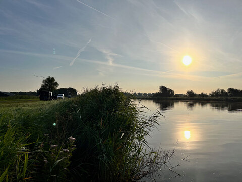 afbeelding 5