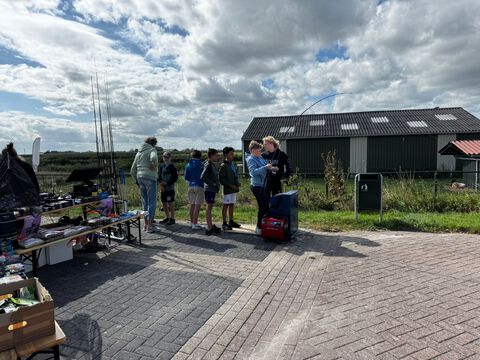 afbeelding 16
