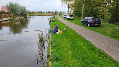 afbeelding 4