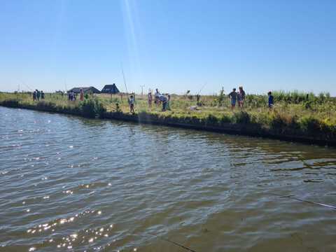 afbeelding 16
