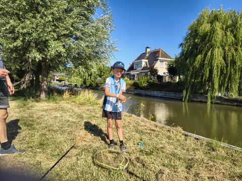 afbeelding 22