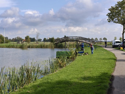 afbeelding 12