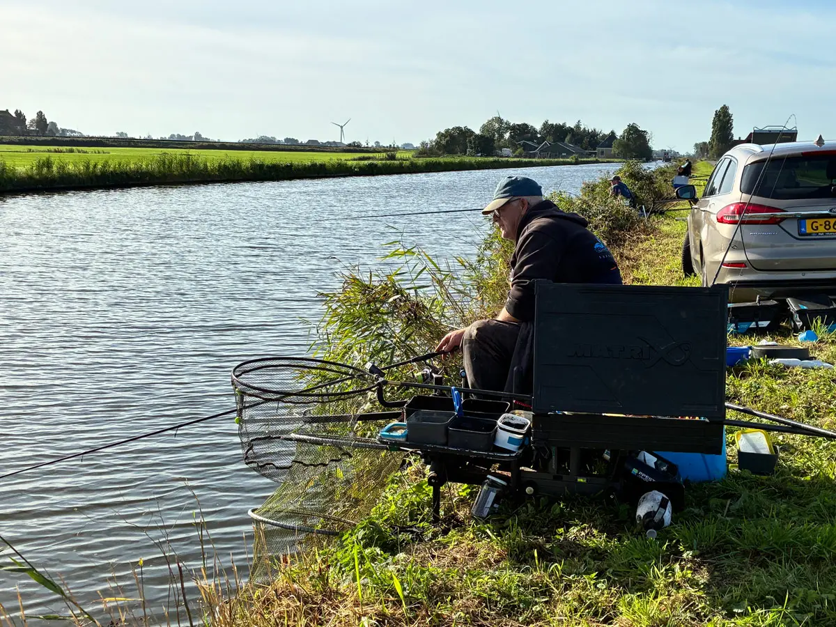 afbeelding 5